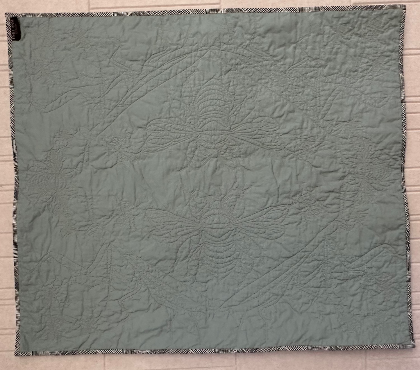 Striped Vera Baby Quilt with Garden Bug Stitches
