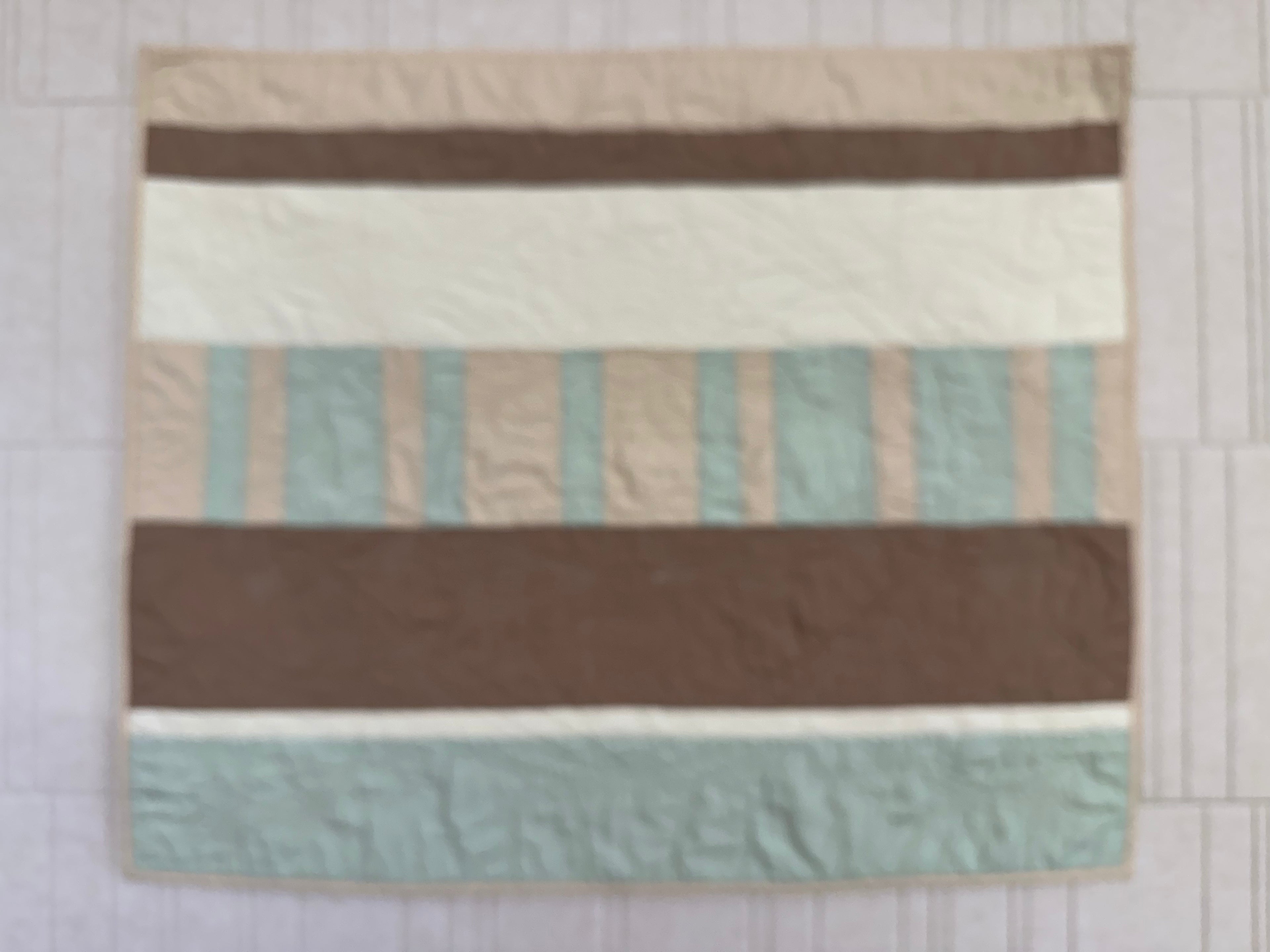 Striped Vera Baby Quilt with Garden Bug Stitches