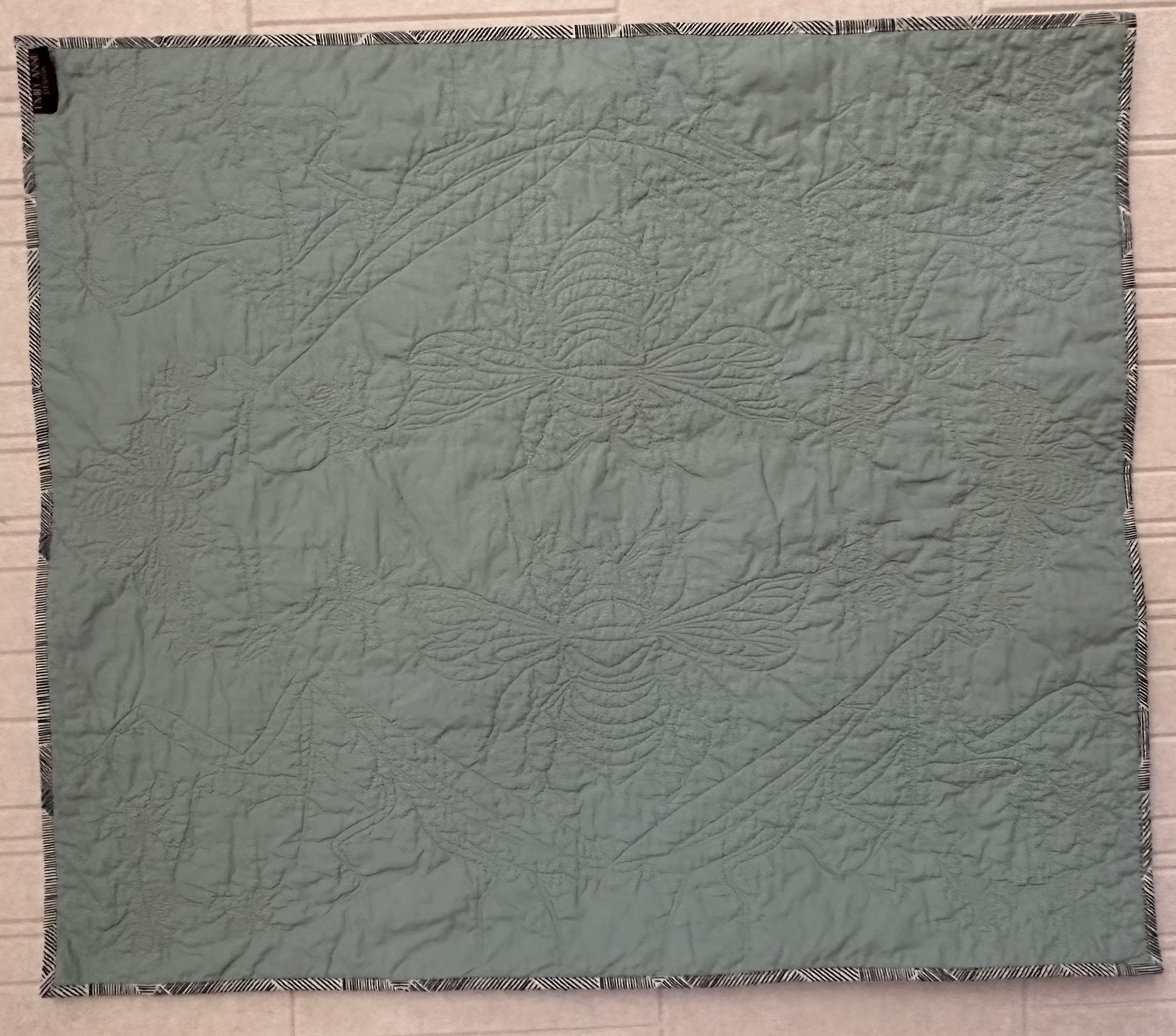 Striped Vera Baby Quilt with Garden Bug Stitches